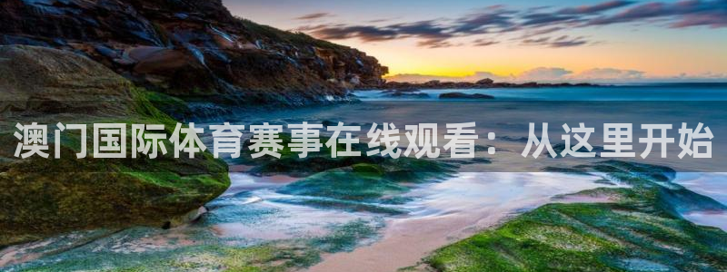 澳门国际体育赛事在线观看：从这里开始