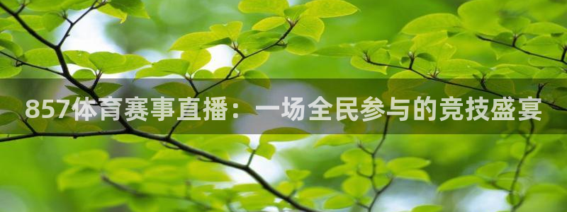857体育赛事直播：一场全民参与的竞技盛宴