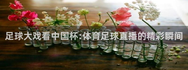 足球大戏看中国杯:体育足球直播的精彩瞬间