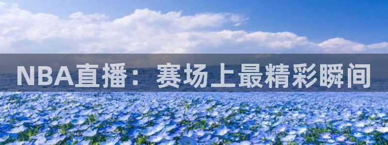 大染坊24集全集免费观看：NBA直播：赛场上最精彩瞬间