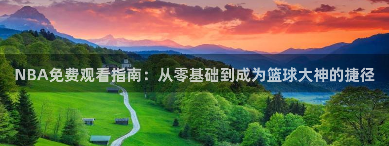 英超直播 24：NBA免费观看指南：从零基础到成为篮球大神的捷径