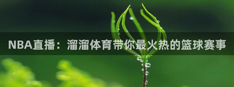 2024乒乓球直播在线观看：NBA直播：溜溜体育带你最火热的篮球赛事