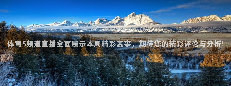 奥运女篮资格赛2024赛程表：体育5频道直播全面展示本周精彩赛事，期待您的精彩评论与分析!