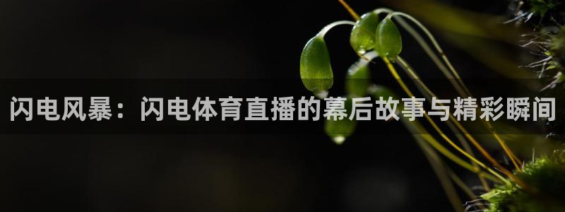 24直播网nba直播jrs：闪电风暴：闪电体育直播的幕后故事与精彩瞬间