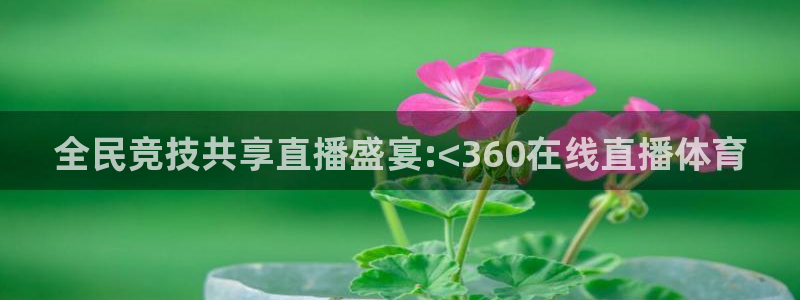 足球直播24小时在线观看：全民竞技共享直播盛宴:<360在线直播体育