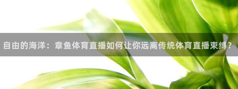 保护我方城主大人24集免费看：自由的海洋：章鱼体育直播如何让你远离传统体育直播束缚？